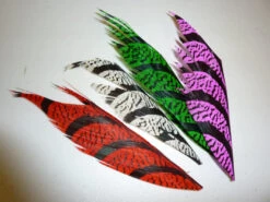 Nature's Spirit Lady Amherst Centre Tail Piece - Funky Fly Tying