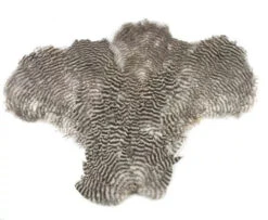 Chevron Chickabou Complete - Funky Fly Tying -Fishing Accessories Store Chevron Chickabou Complete Grizzle 1