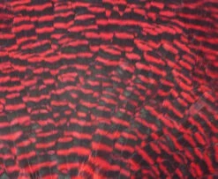 Chevron Grade 1 Complete Hen Saddle - Funky Fly Tying -Fishing Accessories Store Chevron Grade 1 Complete Hen Saddle 1 1