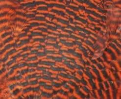 Chevron Grade 1 Complete Hen Saddle - Funky Fly Tying -Fishing Accessories Store Chevron Grade 1 Complete Hen Saddle Dyed Grizzly Hot Orange