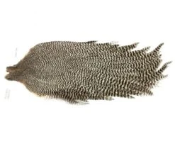 Chevron Grade 2 Rooster Neck Cape - Funky Fly Tying -Fishing Accessories Store Chevron Grade 2 Rooster Neck Cape Grizzly 1 1