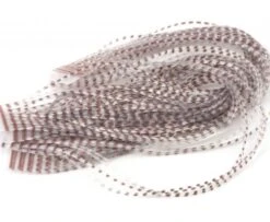 Hareline Chicone's Micro Crusher Legs - Funky Fly Tying -Fishing Accessories Store Chicones Micro Crusher Legs Barred Brown