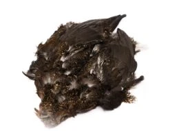 Chevron Grouse Skin - Funky Fly Tying