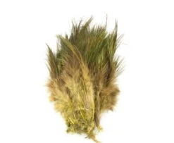 Fish Hunter Strung Ringneck Pheasant Rump Hackle - Funky Fly Tying 28 Fish Hunter Strung Ringneck Pheasant Rump Hackle - Funky Fly Tying -Fishing Accessories Store Fish Hunter Ringneck Pheasant Rump Hackle Dark Olive