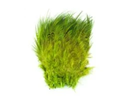Fish Hunter Strung Ringneck Pheasant Rump Hackle - Funky Fly Tying 25 Fish Hunter Strung Ringneck Pheasant Rump Hackle - Funky Fly Tying -Fishing Accessories Store Fish Hunter Ringneck Pheasant Rump Hackle Fl Chartreuse 1