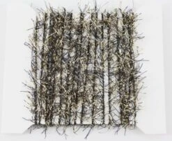 Funky 10mm Black & Gold Straggle Fritz - Funky Fly Tying 9 Funky 10mm Black & Gold Straggle Fritz - Funky Fly Tying -Fishing Accessories Store Funky 10mm Black Gold Straggle Fritz 2 1