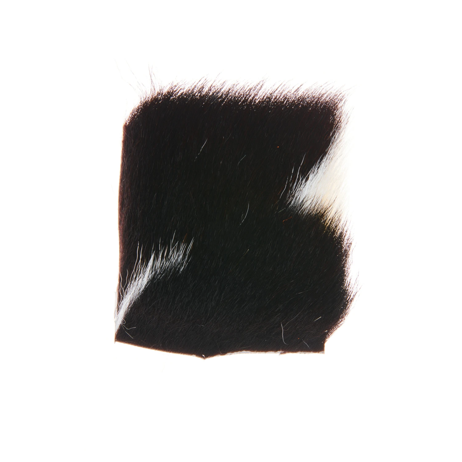 Funky Calf Body Hair - Funky Fly Tying 16 Funky Calf Body Hair - Funky Fly Tying - Image 14