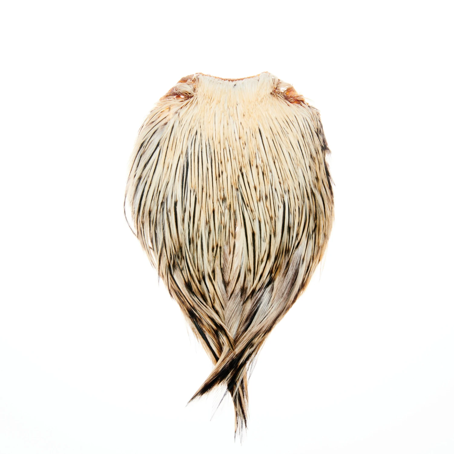 Funky Cock Capes - Funky Fly Tying 5 Funky Cock Capes - Funky Fly Tying - Image 3