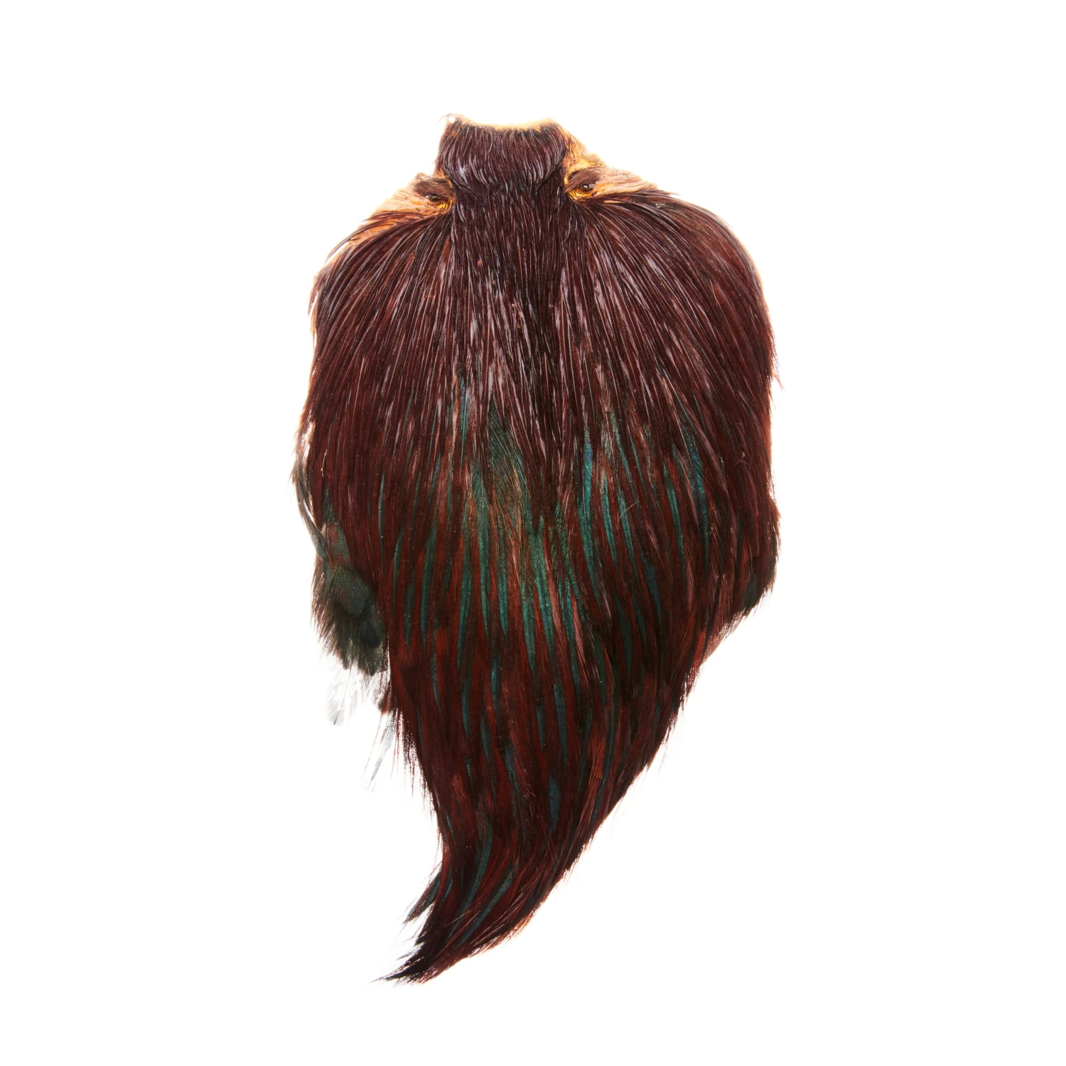 Funky Cock Capes - Funky Fly Tying 16 Funky Cock Capes - Funky Fly Tying - Image 14