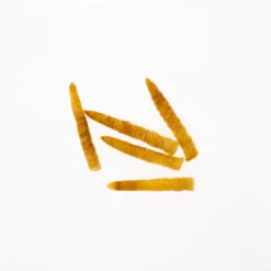 Funky Extended Caddis Fly Bodies (Large) - Funky Fly Tying -Fishing Accessories Store Funky Extended Bodies Caddis Large Golden Stone 233 scaled 3