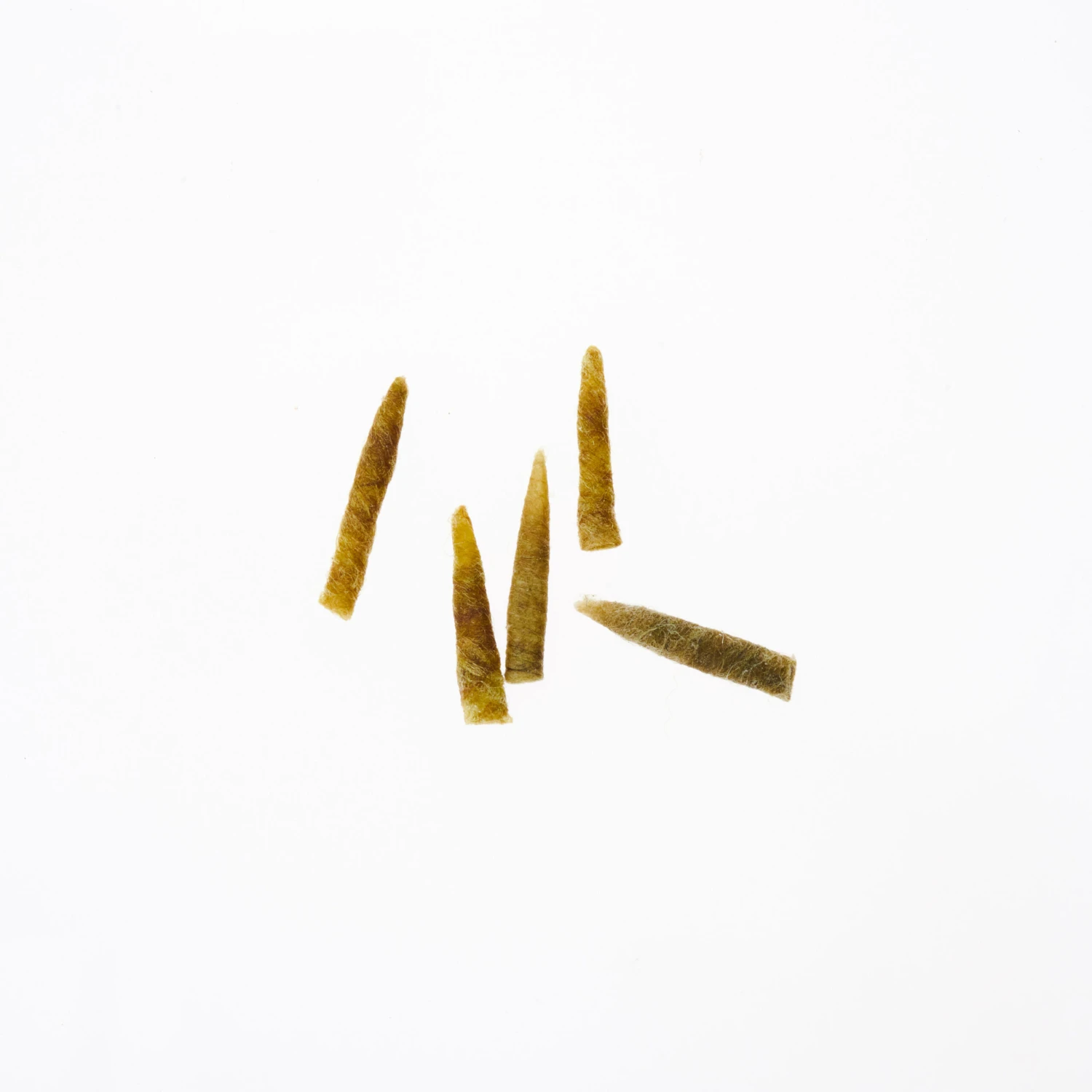 Funky Extended Caddis Fly Bodies (Medium) - Funky Fly Tying 5 Funky Extended Caddis Fly Bodies (Medium) - Funky Fly Tying - Image 3