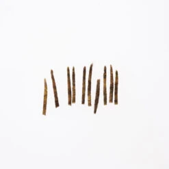 Funky Extended Caddis Fly Bodies (Small) - Funky Fly Tying -Fishing Accessories Store Funky Extended Bodies Caddis Small Olive 259 1 scaled 2