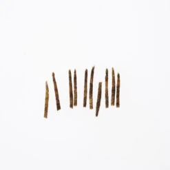 Funky Extended Caddis Fly Bodies (Small) - Funky Fly Tying -Fishing Accessories Store Funky Extended Bodies Caddis Small Olive 260 1 scaled 2