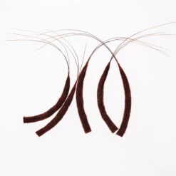 Funk Extended Mayfly Bodies (Large) - Funky Fly Tying 16 Funk Extended Mayfly Bodies (Large) - Funky Fly Tying -Fishing Accessories Store Funky Extended Bodies Mayfly Large Brown Drake 243 scaled 1