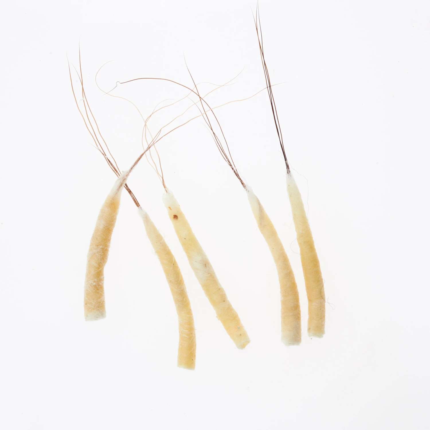 Funk Extended Mayfly Bodies (Large) - Funky Fly Tying 8 Funk Extended Mayfly Bodies (Large) - Funky Fly Tying - Image 6