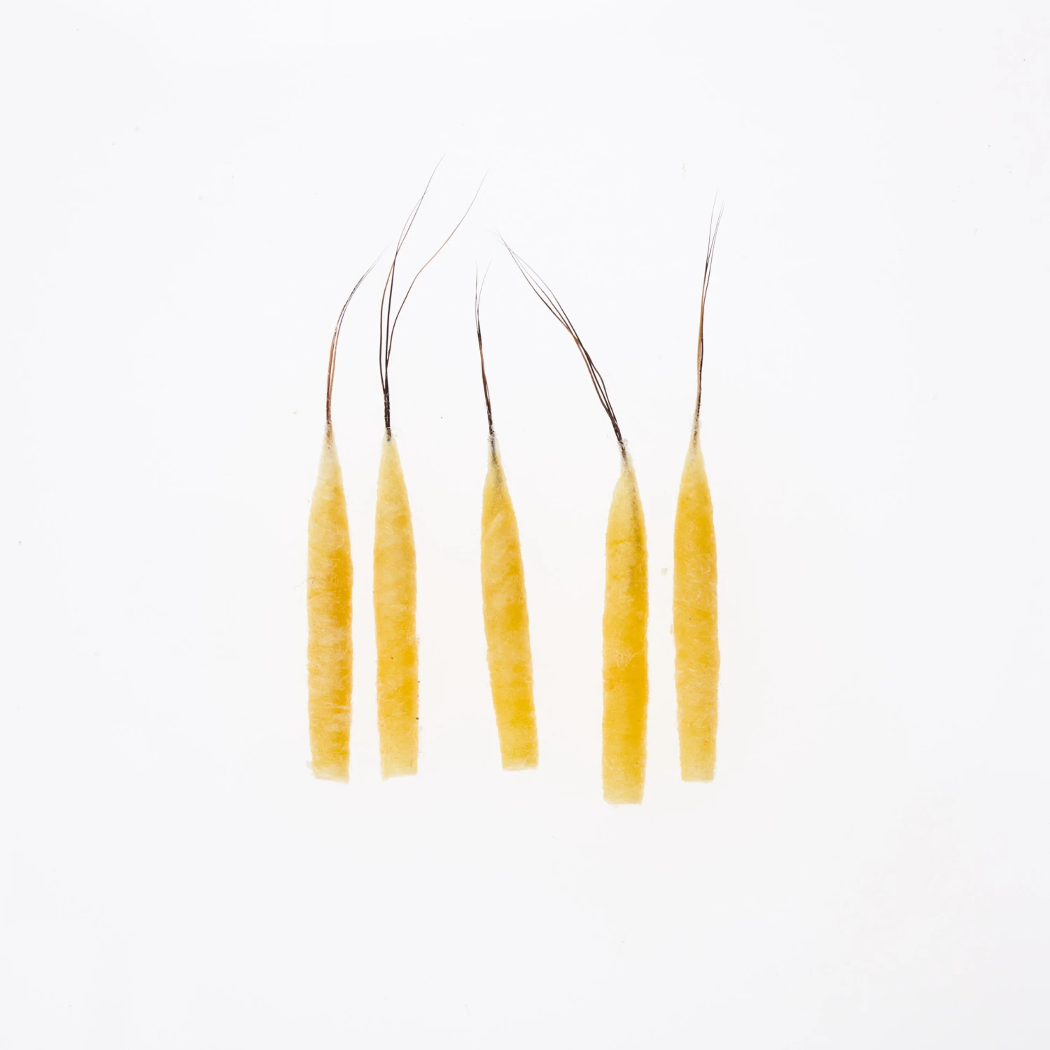 Funk Extended Mayfly Bodies (Large) - Funky Fly Tying 6 Funk Extended Mayfly Bodies (Large) - Funky Fly Tying - Image 4