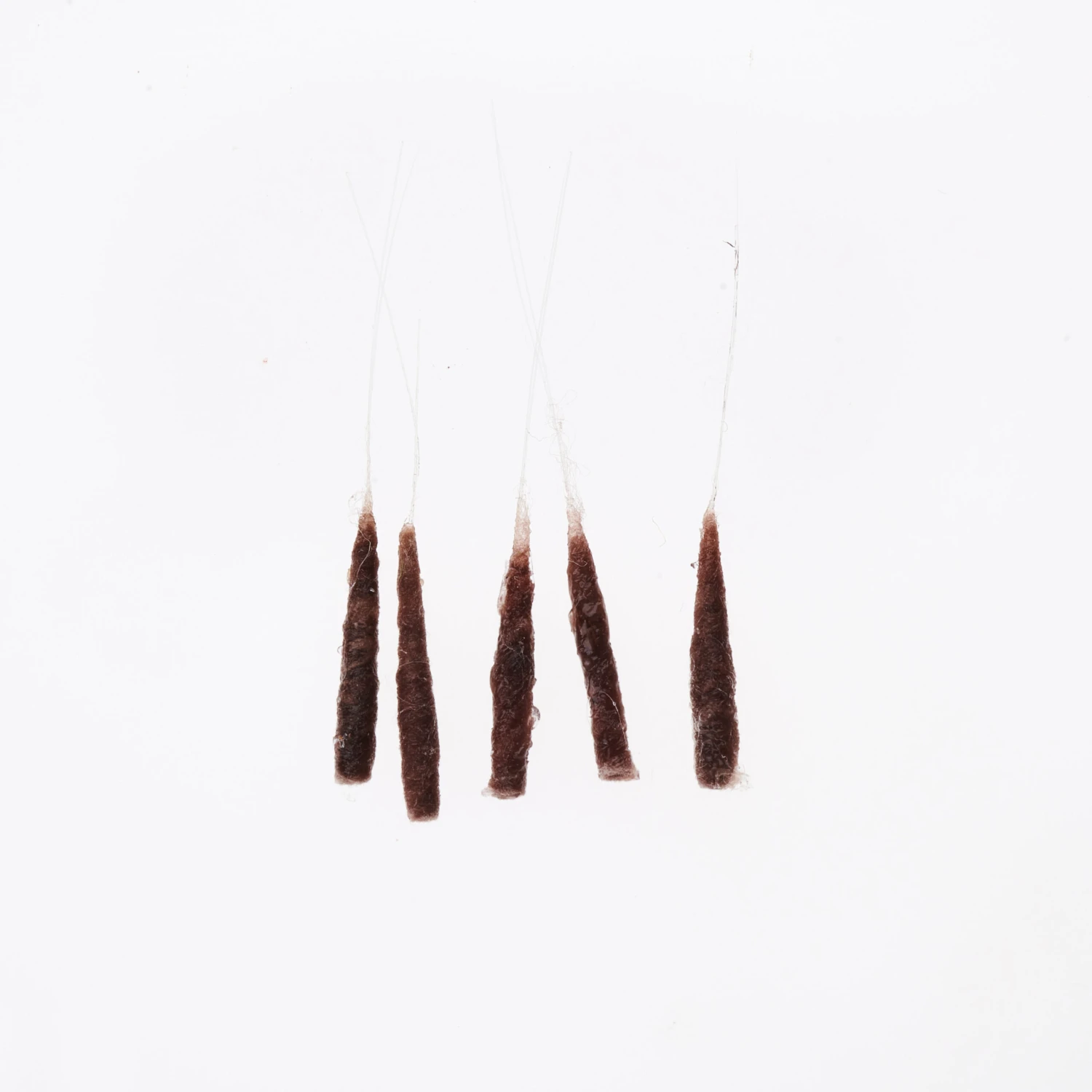 Funky Extended Mayfly Bodies (Medium) - Funky Fly Tying 5 Funky Extended Mayfly Bodies (Medium) - Funky Fly Tying - Image 3