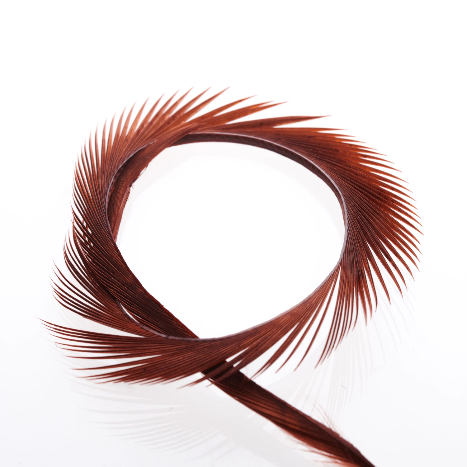 Funky Goose Biots - Funky Fly Tying 7 Funky Goose Biots - Funky Fly Tying - Image 5