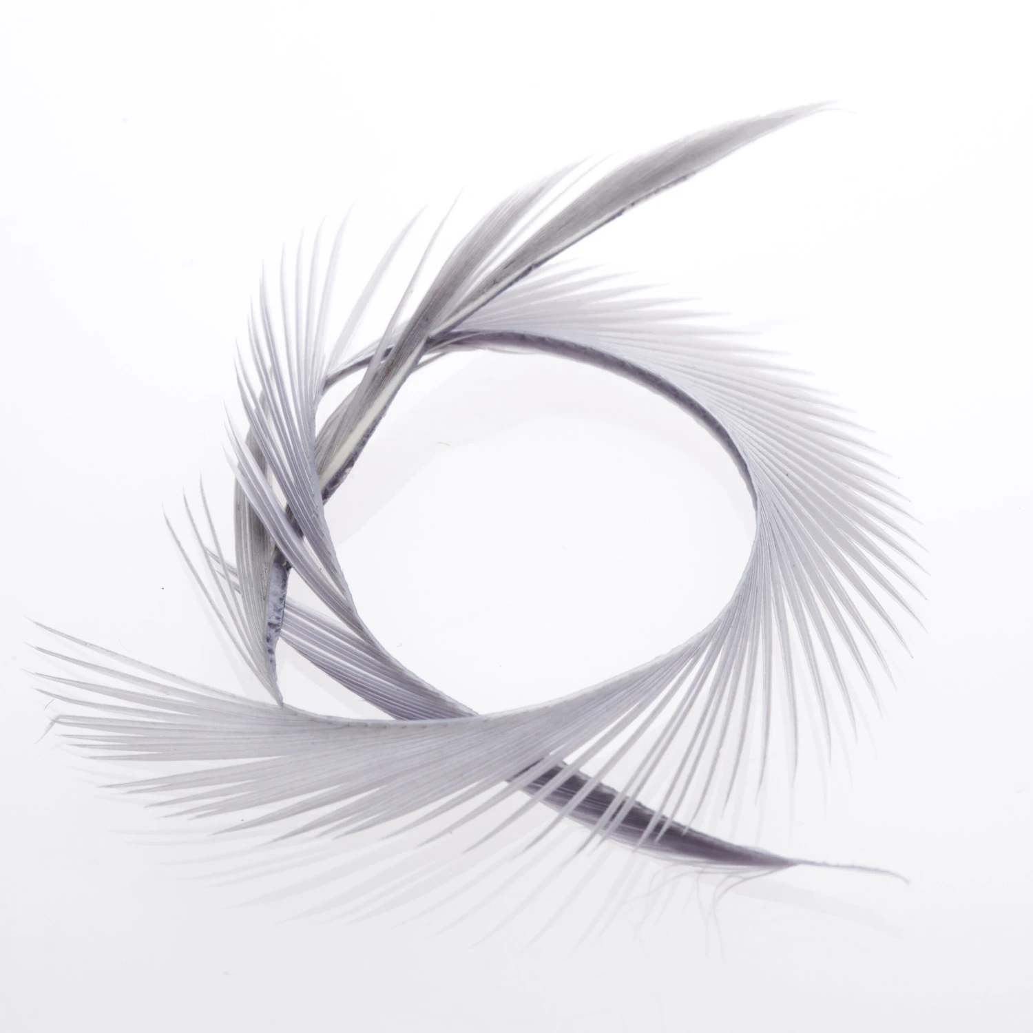 Funky Goose Biots - Funky Fly Tying 18 Funky Goose Biots - Funky Fly Tying - Image 16