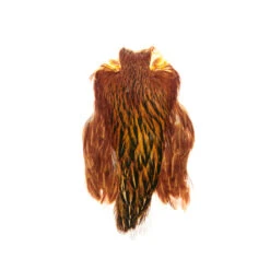 Funky Hen Cape - Funky Fly Tying -Fishing Accessories Store Funky Hen Cape Furnace Greenwells 36 scaled 3