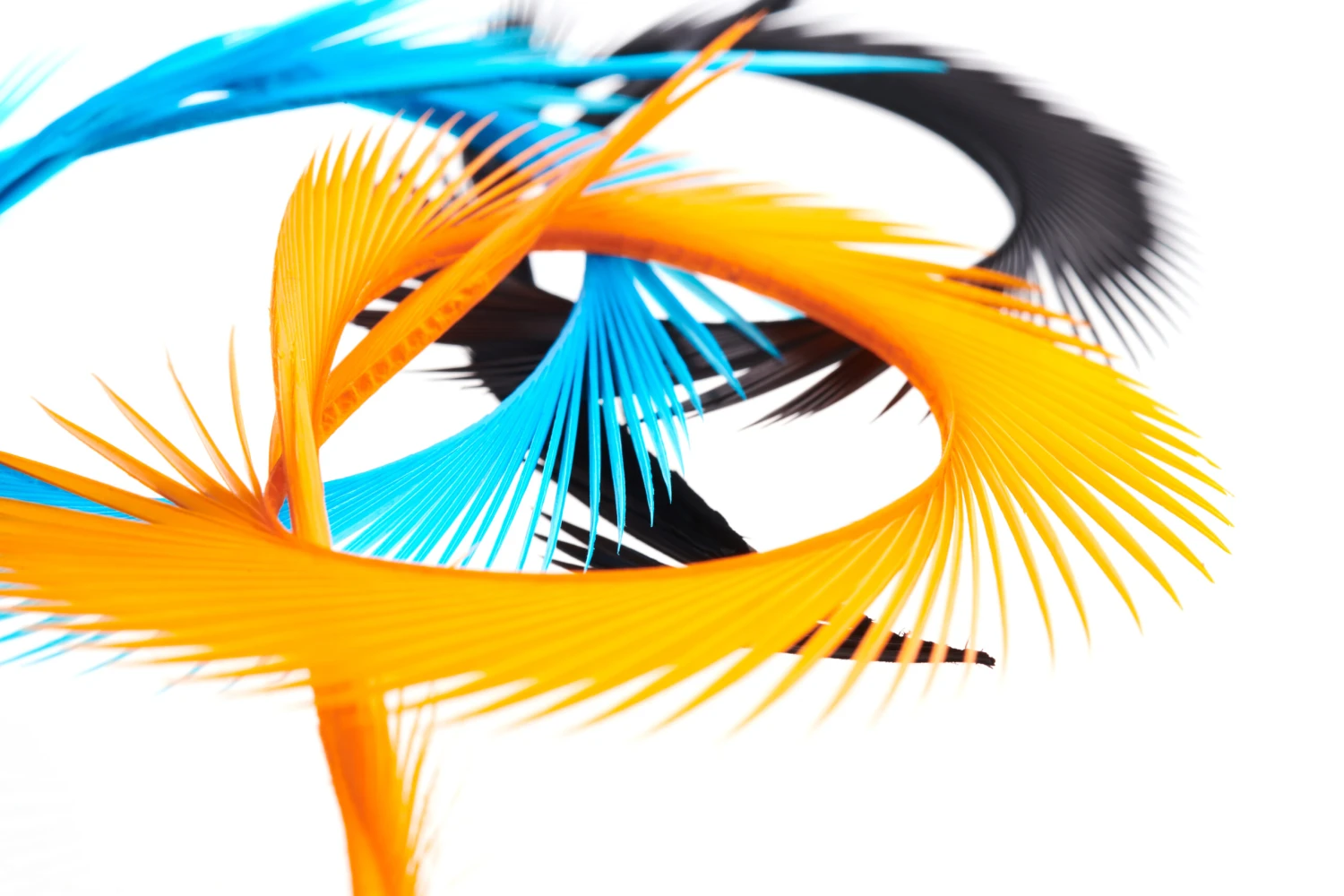 Funky Goose Biots - Funky Fly Tying 4 Funky Goose Biots - Funky Fly Tying - Image 2