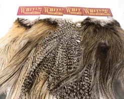 Whiting Coq De Leon Bronze Rooster Saddle - Funky Fly Tying