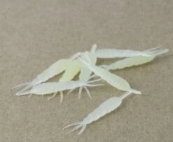 Hemingway's Ephemera Danica Nymph Body - Funky Fly Tying 17 Hemingway's Ephemera Danica Nymph Body - Funky Fly Tying -Fishing Accessories Store Hemingways Ephemera Danica Nymph Body Clear yellow 1