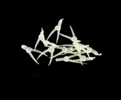 Hemingway's Stonefly Nymph Tails - Funky Fly Tying -Fishing Accessories Store Hemingways Stonefly Nymph Tails Clear Yellow 1