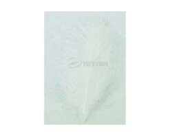 Hends CDC 5g Bulk Pack - Funky Fly Tying -Fishing Accessories Store Hends CDC 5g Bulk Pack White 1