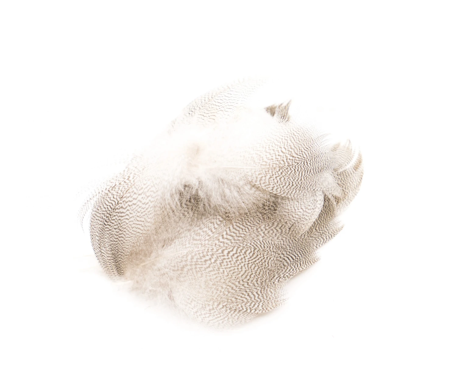 Chevron Grey Mallard Flank 2g Loose Feathers - Funky Fly Tying 3 Chevron Grey Mallard Flank 2g Loose Feathers - Funky Fly Tying