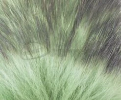 Nature's Spirit Badger Fur - Funky Fly Tying -Fishing Accessories Store Natures Spirit Badger Premium Winging Fur Green