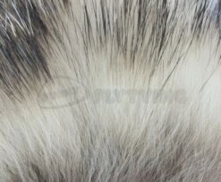 Nature's Spirit Badger Fur - Funky Fly Tying -Fishing Accessories Store Natures Spirit Badger Premium Winging Fur Natural 1