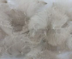 Nature's Spirit CDC Tufts (Oiler Puffs) - Funky Fly Tying -Fishing Accessories Store Natures Spirit CDC Tufts Oiler Puffs Natural Mallard 1