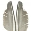 Nature's Spirit Goose Quills - Funky Fly Tying -Fishing Accessories Store Natures Spirit Canada Goose Biot Quill Goose Quill Body 1