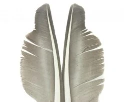 Nature's Spirit Goose Quills - Funky Fly Tying