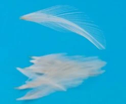 Nature's Spirit Dry Fly Tailing - Funky Fly Tying -Fishing Accessories Store Natures Spirit Dry Fly Tailing Light Dun 1