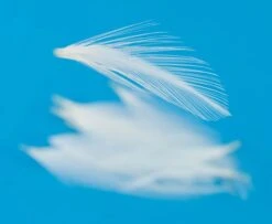 Nature's Spirit Dry Fly Tailing - Funky Fly Tying -Fishing Accessories Store Natures Spirit Dry Fly Tailing White