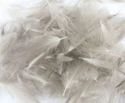 Nature's Spirit Duck CDC - Funky Fly Tying -Fishing Accessories Store Natures Spirit Duck CDC Natural Mallard 1