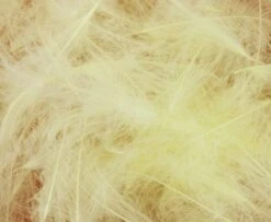 Nature's Spirit Duck CDC - Funky Fly Tying -Fishing Accessories Store Natures Spirit Duck CDC Pale Yellow 1