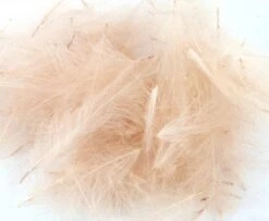 Nature's Spirit Duck CDC - Funky Fly Tying -Fishing Accessories Store Natures Spirit Duck CDC Pink Cahill 1