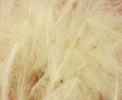 Nature's Spirit Duck CDC - Funky Fly Tying -Fishing Accessories Store Natures Spirit Duck CDC Tannish Yellow 1