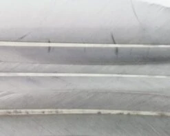 Nature's Spirit Duck Quills - Funky Fly Tying -Fishing Accessories Store Natures Spirit Duck Quills Medium Dun