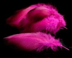 Nature's Spirit Dyed Bronze Mallard - Funky Fly Tying -Fishing Accessories Store Natures Spirit Dyed Bronze Mallard Fluo HOt Pink