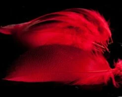 Nature's Spirit Dyed Bronze Mallard - Funky Fly Tying -Fishing Accessories Store Natures Spirit Dyed Bronze Mallard Red 1