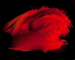 Nature's Spirit Dyed Bronze Mallard - Funky Fly Tying -Fishing Accessories Store Natures Spirit Dyed Bronze Mallard hot Orange 1