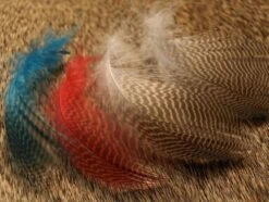 Nature's Spirit Gadwell Flank Feathers - Funky Fly Tying