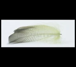 Nature's Spirit Gadwell Flank Feathers - Funky Fly Tying 38 Nature's Spirit Gadwell Flank Feathers - Funky Fly Tying -Fishing Accessories Store Natures Spirit Gadwell Flank Feathers 13