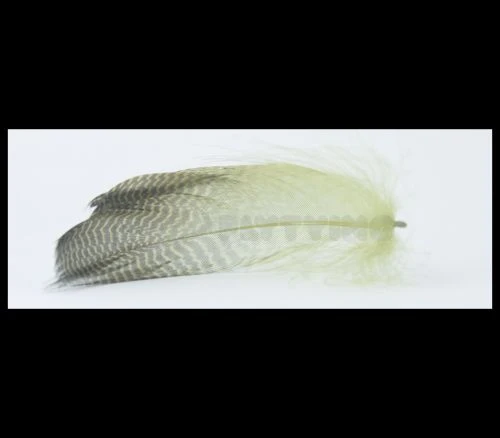 Nature's Spirit Gadwell Flank Feathers - Funky Fly Tying 19 Nature's Spirit Gadwell Flank Feathers - Funky Fly Tying - Image 17