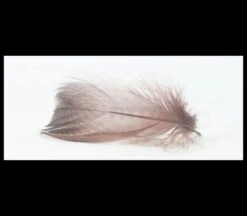 Nature's Spirit Gadwell Flank Feathers - Funky Fly Tying 32 Nature's Spirit Gadwell Flank Feathers - Funky Fly Tying -Fishing Accessories Store Natures Spirit Gadwell Flank Feathers 3