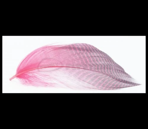 Nature's Spirit Gadwell Flank Feathers - Funky Fly Tying 11 Nature's Spirit Gadwell Flank Feathers - Funky Fly Tying - Image 9